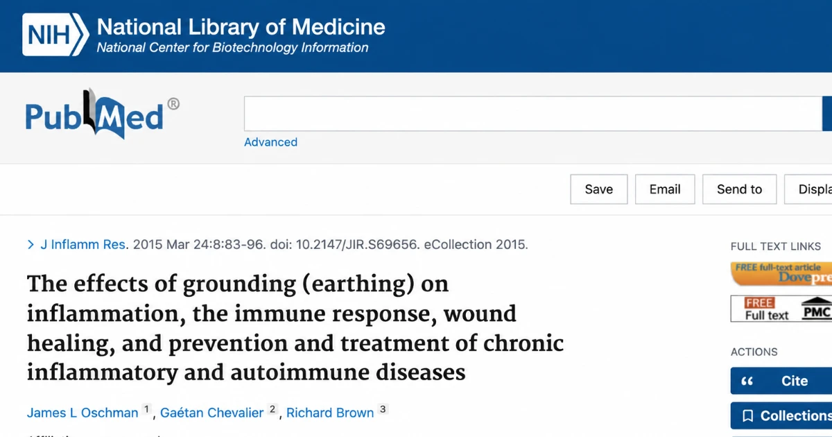 Grounding (aterramento) e inflamação: o que diz a ciência sobre o contato direto com a Terra